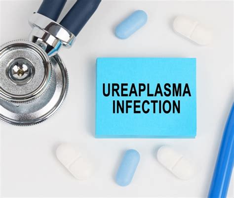 uriplasma|ureaplasma come si contrae.
